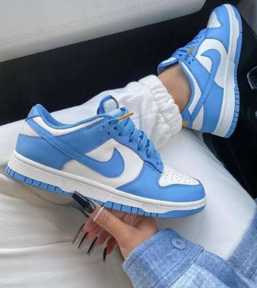 Nike Dunks Sneakers