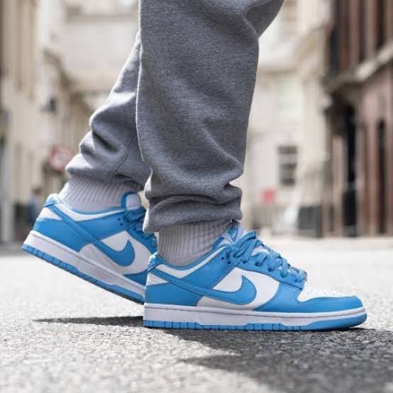 Nike Dunks Sneakers